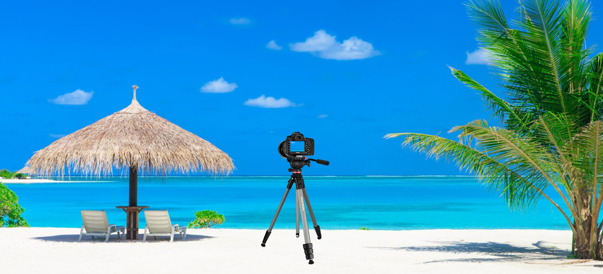 #000
Smartfoto,The Smart Choice.
