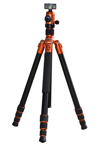 CS-254MA+CBS-25(Orange)