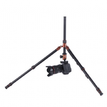 CS-254MA+CBS-25